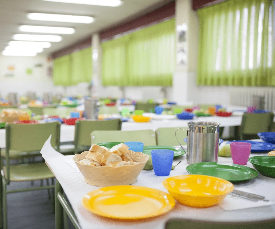 Catering comida para comedores escolares.